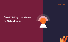 Maximizing the Value of Salesforce