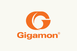 Gigamon